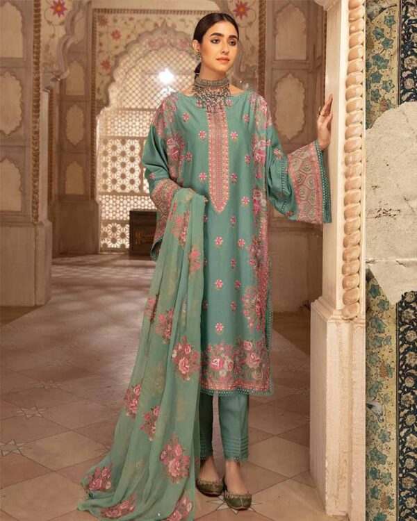 Pakistani new collection wear